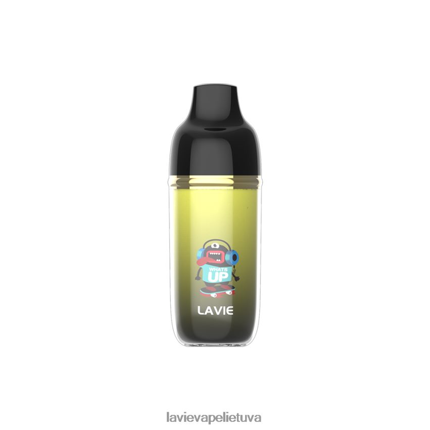 N226RV241 Lavie Vape Lietuva | mangų ledas LAVIE Monster 6000 išpūtimų